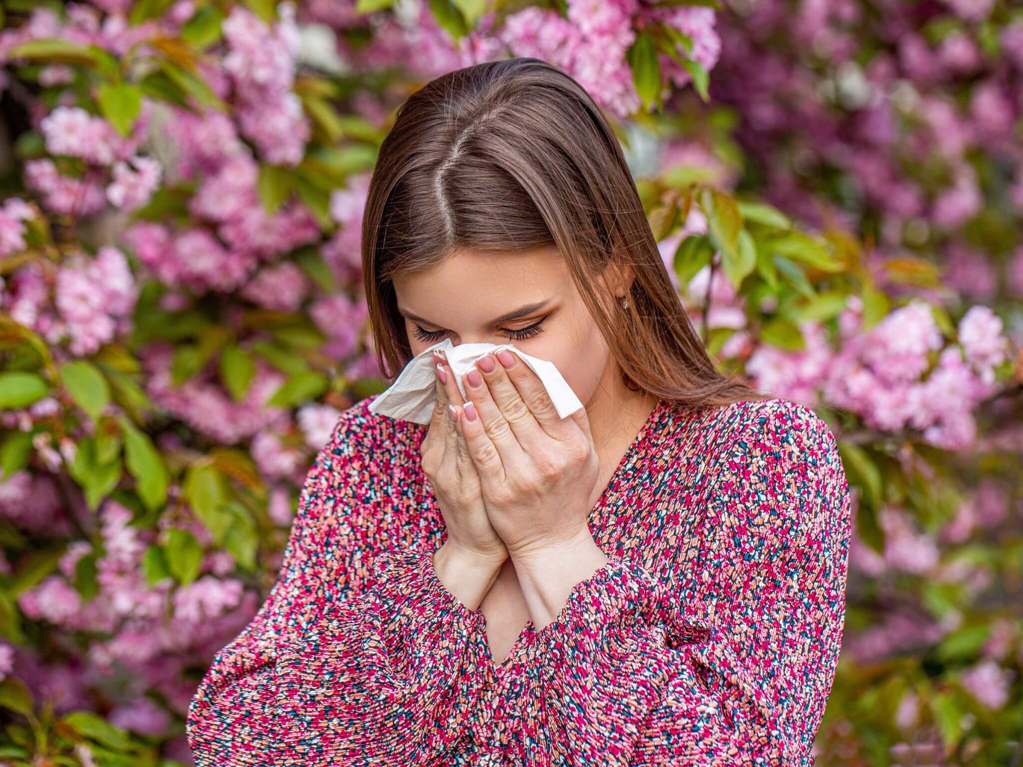 Snuff out those spring sneezes with these simple steps